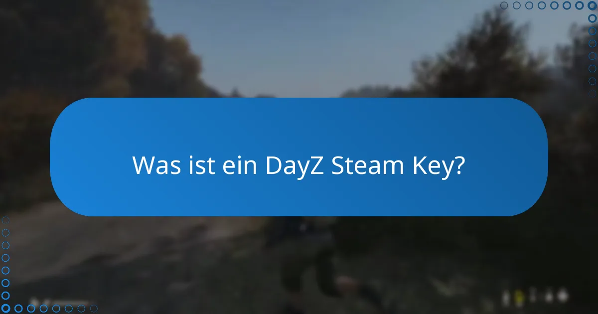 Wie kauft und löst man einen DayZ Steam Key ein?