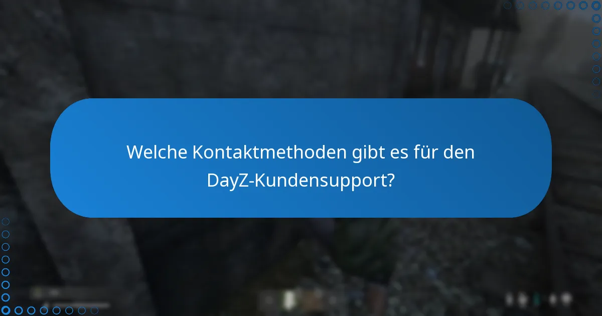 Wo finde ich offiziellen Support für DayZ DLC-Probleme?