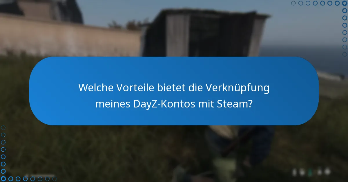 Was bedeutet Verifizierung im Kontext der Einlösung eines DayZ Steam-Schlüssels?